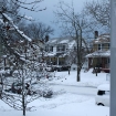 2010-02-06 (004)